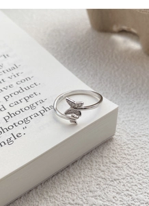 Macro shot of S925 sterling silver butterfly ring with micro-set zircons on an open book