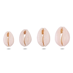 Natural white cowrie shells in four sizes for DIY jewelry and crafts on white background