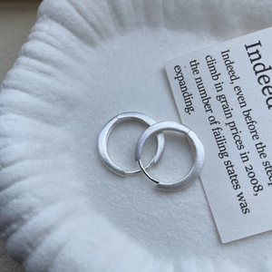 Minimalist S925 sterling silver hoop earrings with a matte brushed finish for women