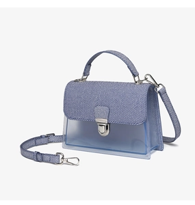 Close-up of blue striped canvas handle and transparent PVC crossbody bag with silver buckle