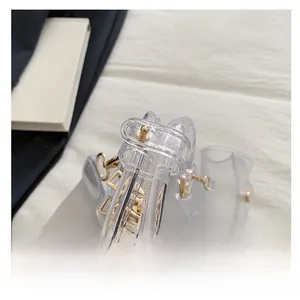 Detailed close-up of the golden metal hardware and zipper on the transparent PVC jelly bag