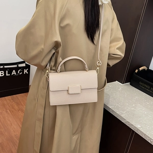Minimalist beige lychee grain leather crossbody flap bag with stylish gold chain strap