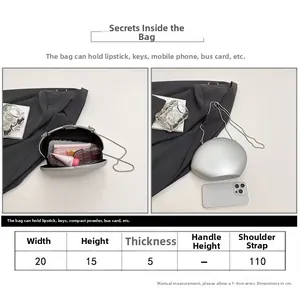 Detailed size chart showing silver shell evening clutch bag dimensions and capacity details