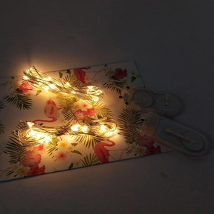 Dual warm white LED copper wire fairy lights with transparent battery packs and buttons