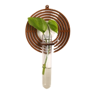 Wall-mounted circular wood plant holder with glass tube for hydroponics