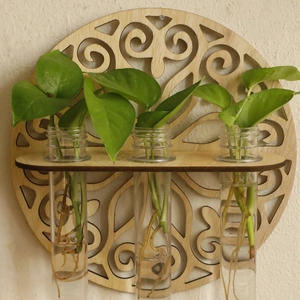 Detail view of wall-mounted wooden plant holder with three glass hydroponic tubes