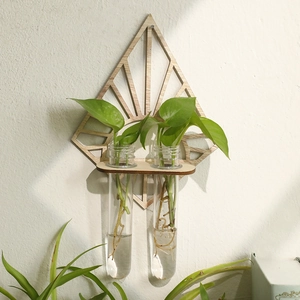 Wall Mounted Wood Hydroponic Vase Simple Geometric Hollow Design Home Decor Plant Holder With Glass Test Tubes