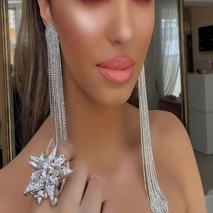Elegant silver tassel fringe earrings and oversized star rhinestone ring set for women