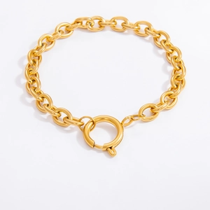 Minimalistische 18K vergulde roestvrijstalen armband met een grote ronde veersluiting