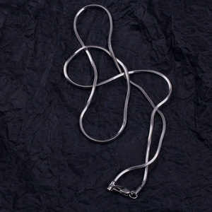 Detail view of silver snake chain necklace with lobster clasp on black background