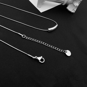 Minimalist silver-tone snake bone necklace with a curved tube pendant on black fabric