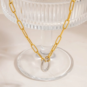 Two-tone stainless steel paperclip chain necklace with silver oval pendant and gold links