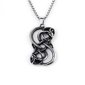Collana con Ciondolo a Forma di Drago e Serpente in Acciaio Inossidabile Vintage Gioielli Punk Gotici Argento Antico per Uomo con Catena Box