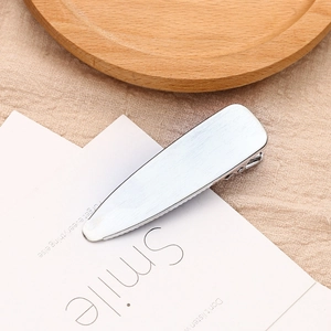 Barrette à cheveux minimaliste en métal brossé argenté avec un design élégant