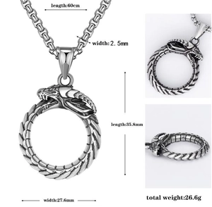 Vue détaillée du collier pendentif dragon argenté vintage avec dimensions en millimètres
