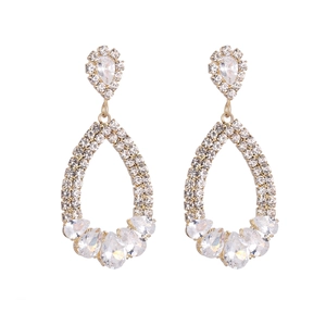 Sparkling S925 silver needle water drop earrings with luxury rhinestones on white background