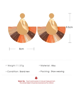 Detailed view of colorful straw woven fan-shaped earrings with alloy metal studs