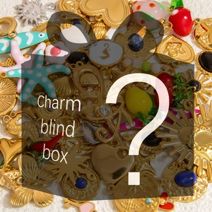 Blind Box DIY Jewelry Charms Stainless Steel Enamel Pendants Mix Styles Animals Stars Hearts For Necklace Accessories
