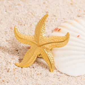 Detailed view of a golden starfish brooch with a textured finish on a sandy beach