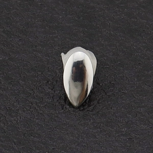 Polished silver hip hop single tooth grillz with a smooth mirror finish for rappers