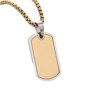 Two-tone stainless steel dog tag necklace with brushed gold finish and silver polished frame