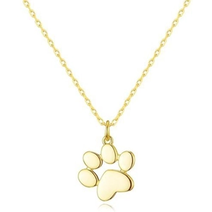 Collana in acciaio al titanio con un ciondolo minimalista a forma di zampa d'oro lucido