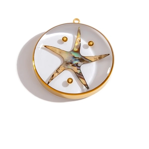 Detailed macro view of starfish pendant with gold metal trim and abalone shell inlay
