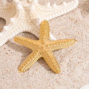 Broche étoile de mer exquise plaquée or 18 carats avec surface texturée sur sable marin