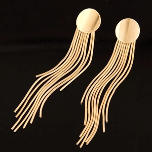Minimalist Metal Long Tassel Earrings For Women Fashion Geometric Round Studs Snake Chain Fringe Dangle Earrings Jewelry