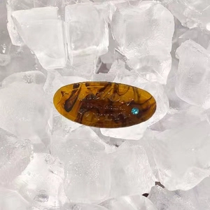 Close-up of tortoise shell oval hair clip with letter engraving and blue gemstone