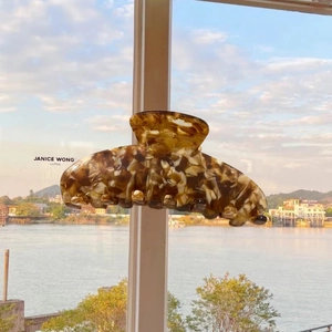 Large acetate hair claw clip with tortoise pattern against scenic riverside background