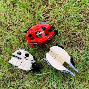 Détail de trois jolies pinces à cheveux motifs coccinelle et vache sur de l'herbe