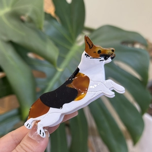Détail d'une pince à cheveux Corgi en acétate brillant tenue devant des feuilles