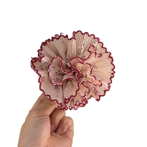 Floral chiffon hair clip with pink carnation design and contrasting red wavy edges