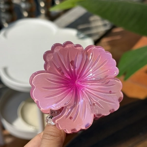 Pink gradient floral hair claw clip in translucent resin with shimmery petal details