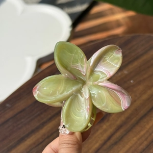 Dettaglio della molletta per capelli a forma di fiore con trama marmorizzata in acetato