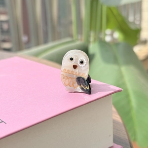 Vue détaillée d'une pince à cheveux hibou en acétate nacré sur un livre rose avec jardin
