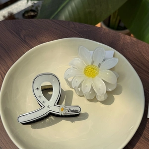 Elegantes Set aus weißen Gänseblümchen-Haarklammern und Strass-Haarnadeln in Schale