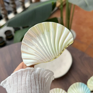 Pince à cheveux coquillage irisée avec finition nacrée pour coiffures de femmes