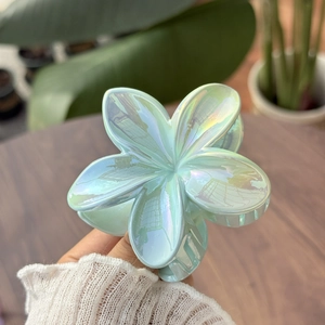 Detailansicht der irisierenden Haarklammer in Plumeria-Form mit pastellfarbenem Verlauf