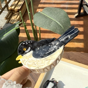 Pince à cheveux mignonne en acétate en forme d'oiseau avec un design de pie noir et blanc