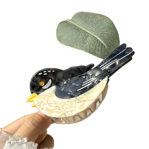 Pince à cheveux oiseau en acétate coloré forme pie pour coiffure queue de cheval