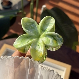 Elegante pinza per capelli a forma di frangipane con motivo marmorizzato verde per donna