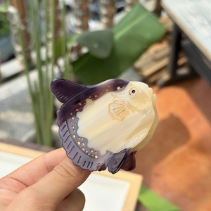 Deep purple and cream yellow acetate sunfish hair claw clip with golden dot accents