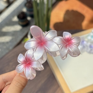 Pince à cheveux florale avec fleurs en résine dégradé rose pour queue de cheval élégante