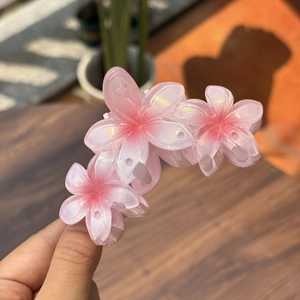 Pince à cheveux fleurie rose effet gelée avec trois fleurs en résine dégradée