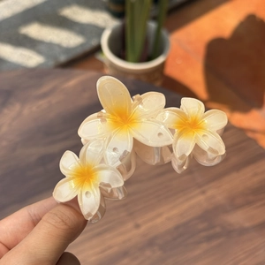 Détail de la pince à cheveux florale translucide avec centre jaune et pétales blancs