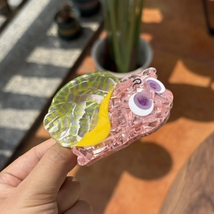 Pinza per capelli a forma di lumaca rosa e verde in acetato strutturato per donne