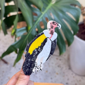 Andean condor acetate hair claw clip with colorful multi-color splicing design