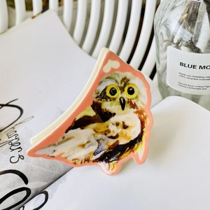 Detailed view of an acrylic hair claw clip featuring a colorful owl pattern on a magazine